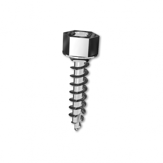 Joint Head Type - Lower