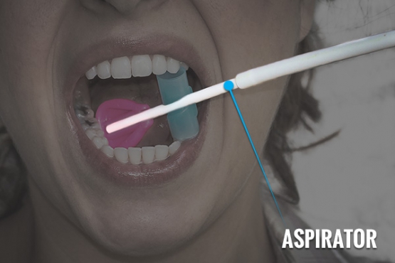 OrthoArch Dentapops